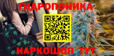 стафф Будённовск