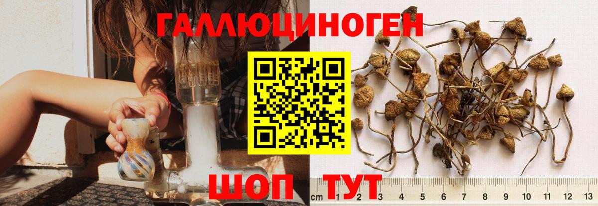 Галлюциногенные грибы мицелий  купить закладку  Челябинск  Вход с VPN 